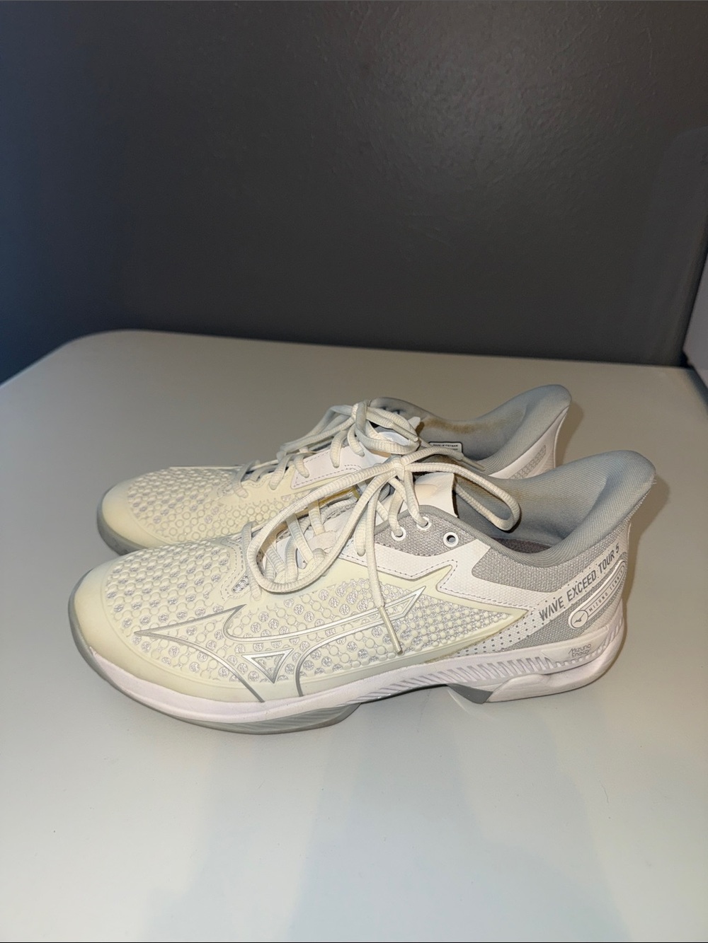 Mizuno Wave Exceed Tour 5 AC-Women's Tennis Shoe-Size 9.5-white/silver